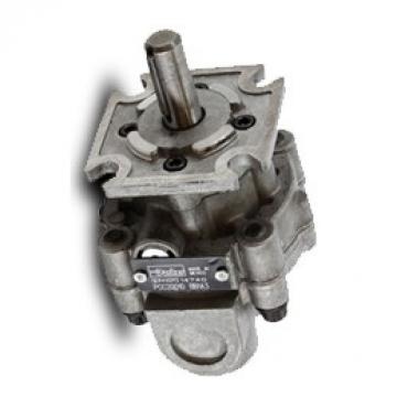 Parker D14AA1F 091-A Hydraulique Gear Pompe 1.3cm Arbre 1.66 Pour 4.7 Gpm