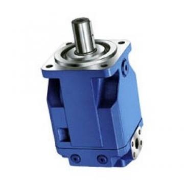 Pompe Hydraulique Bosch 0510425032 pour Fiat / New Holland 300 411-1300 55-66