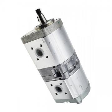 Pompe Hydraulique Bosch 0510765393 pour Steyr 9080MT 9085MT 9090MT 9095MT Jusqu