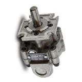 DENISON (Parker) HYDRAULIC Piston PUMP P260H-2R1D-Z10-EO-M2 Open Loop, High Pres