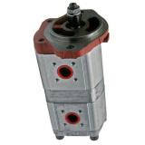 Pompe Hydraulique Bosch 0510765398 pour Graine Iron 100 110 120, 115 125 Dcr